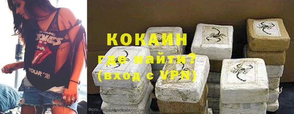 шишки Балахна